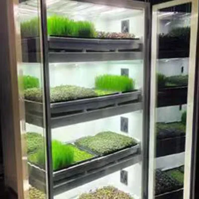Plant Growth Chamber (optional at an additional charge)