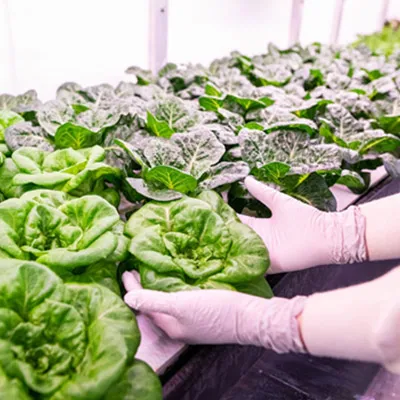 Water & Fertilizer Integration and Irrigation System