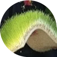 Wheatgrass