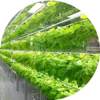 Vertical Moving System