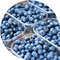 Blueberries