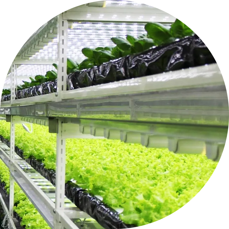 Automated Vertical Farming System